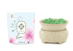 Sand Stone 2-in-1 Deluxe Wax Warmer + Blossom Scented Wax Melt Kit