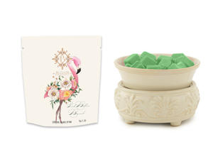 
            
                Load image into Gallery viewer, Sand Stone 2-in-1 Deluxe Wax Warmer + Blossom Scented Wax Melt Kit
            
        