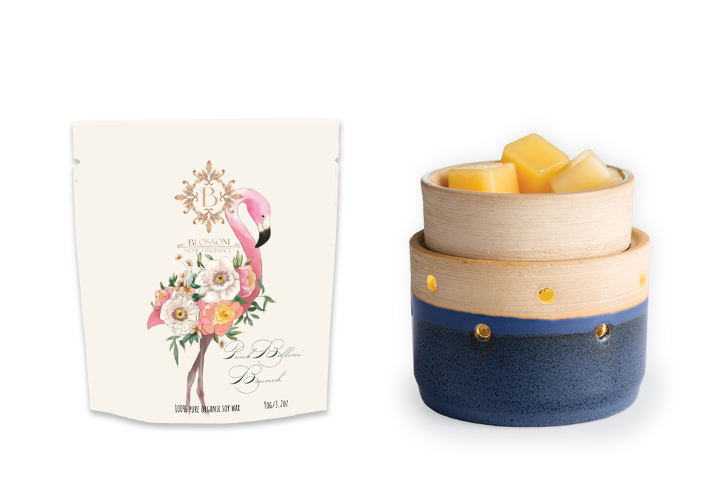 
            
                Load image into Gallery viewer, Land &amp;amp; Sea 2-in-1 Deluxe Wax Warmer + Blossom Scented Wax Melt Kit
            
        