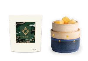 
            
                Load image into Gallery viewer, Land &amp;amp; Sea 2-in-1 Deluxe Wax Warmer + Blossom Scented Wax Melt Kit
            
        