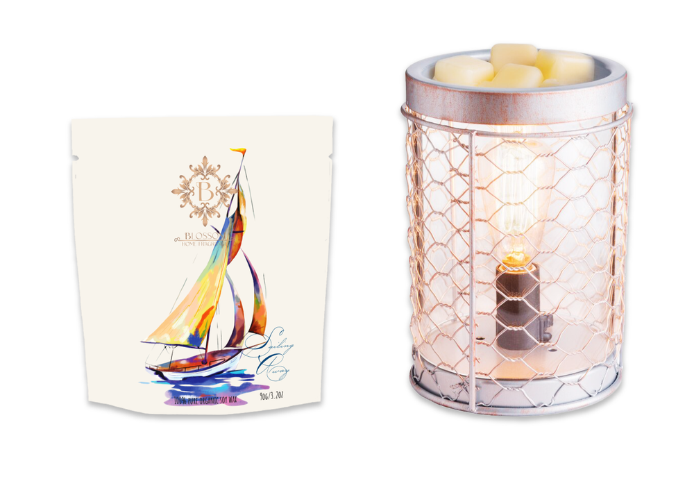 
            
                Load image into Gallery viewer, Vintage Metal Wax Warmer + Blossom Scented Wax Melt Kit
            
        